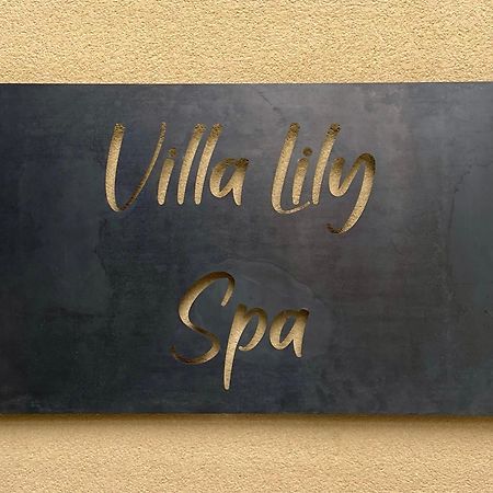 Villa Lily Spa, Chambre D'Hotes Avec Spa Privatif La Vicomté-sur-Rance Eksteriør bilde