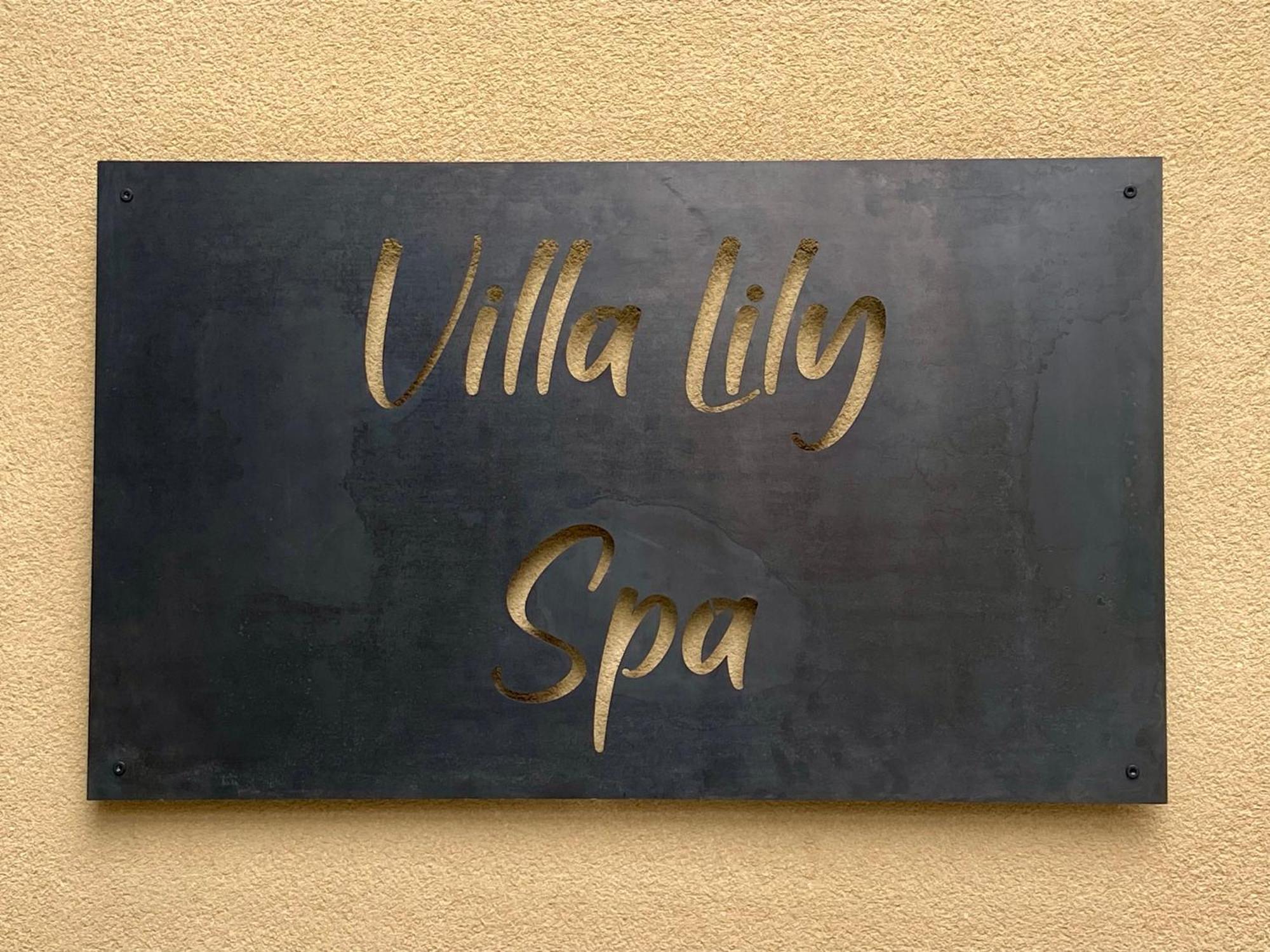 Villa Lily Spa, Chambre D'Hotes Avec Spa Privatif La Vicomté-sur-Rance Eksteriør bilde